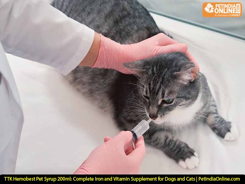 TTK Hemobest Pet Syrup 200ml: Complete Iron and Vitamin Supplement for Dogs and Cats | PetIndiaOnline.com