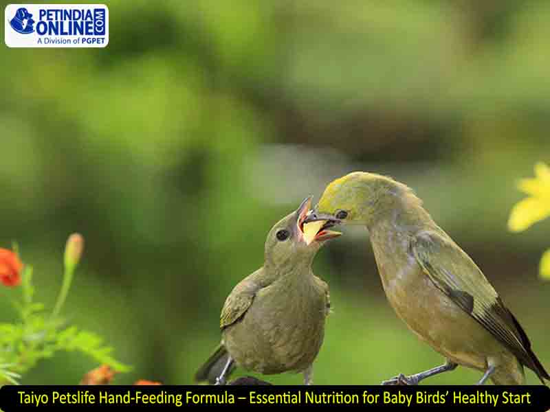 Taiyo Petslife Hand-Feeding Formula – Essential Nutrition for Baby Birds’ Healthy Start