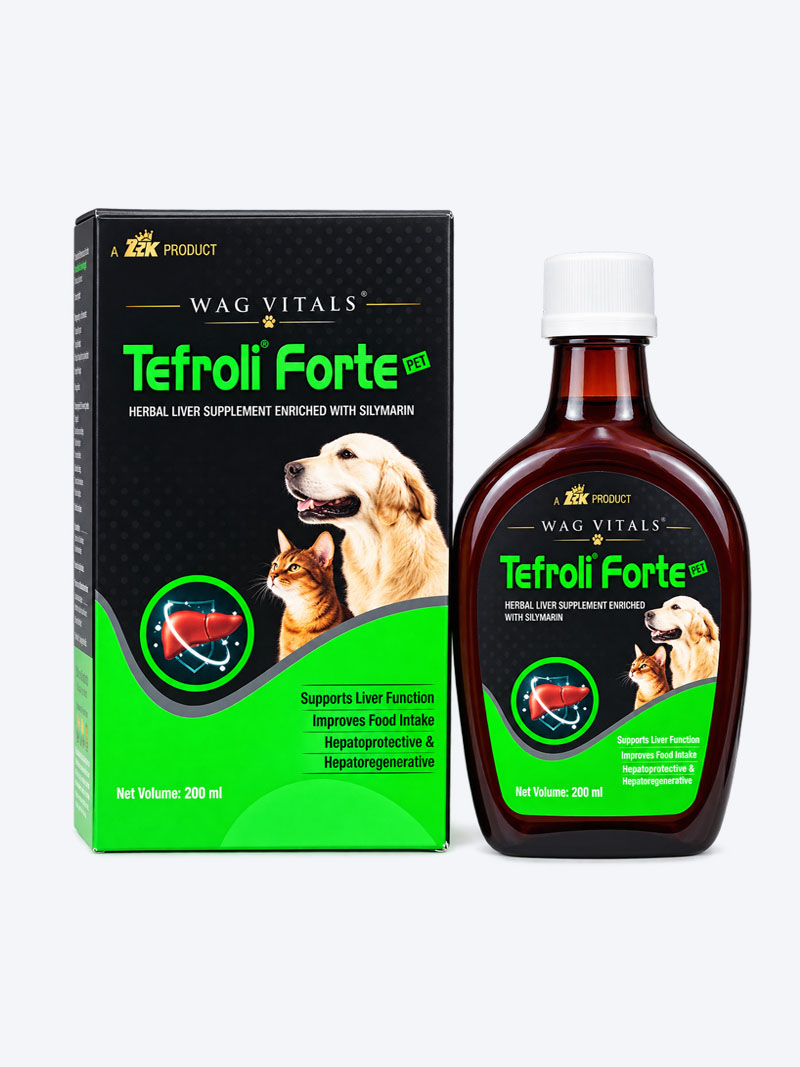 Buy Tefroli Forte Syrup at a low price in online India on Petindiaonline