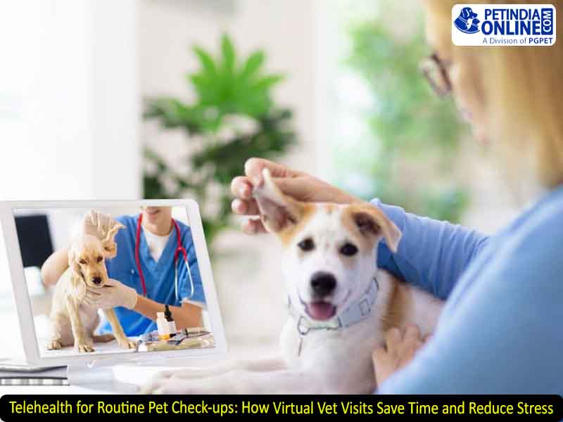Telehealth for Routine Pet Check-ups: How Virtual Vet Visits Save Time and Reduce Stress
