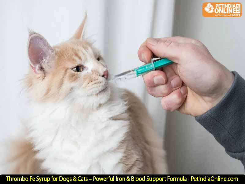 Thrombo Fe Syrup for Dogs & Cats – Powerful Iron & Blood Support Formula | PetIndiaOnline.com