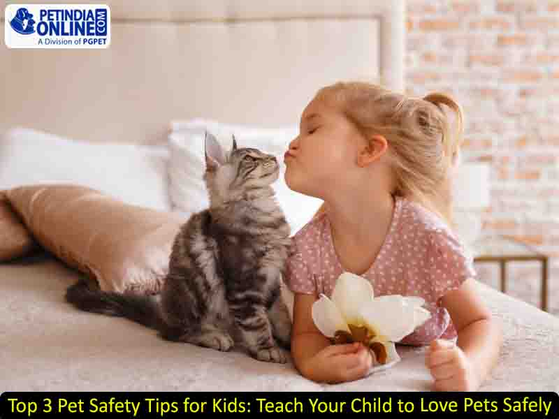 Top 3 Pet Safety Tips for Kids: Teach Your Child to Love Pets Safely