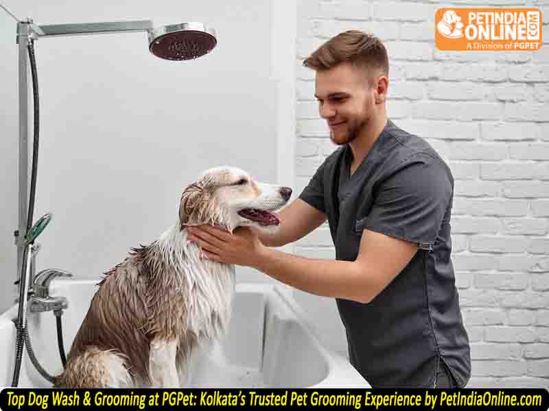 Top Dog Wash & Grooming at PGPet: Kolkata’s Trusted Pet Grooming Experience by PetIndiaOnline.com