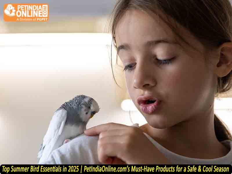 Top Summer Bird Essentials in 2025 | PetIndiaOnline.com’s Must-Have Products for a Safe & Cool Season