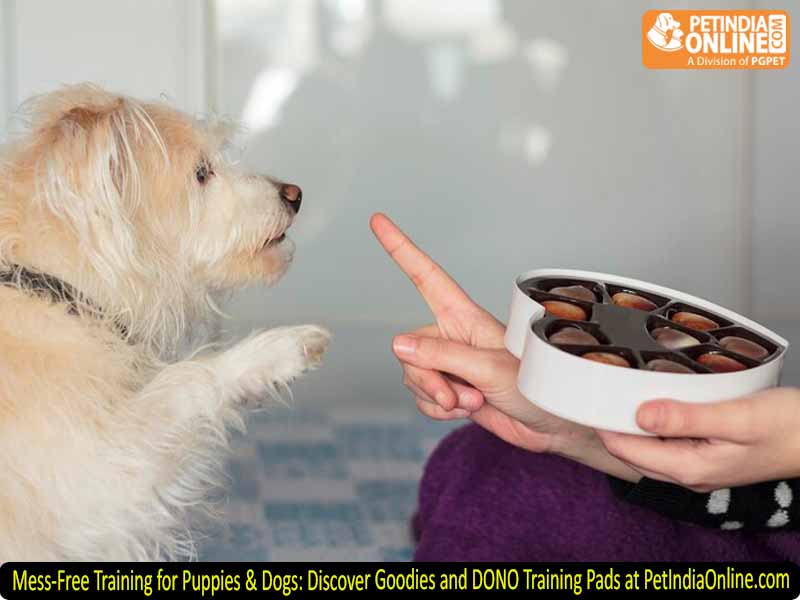 Mess-Free Training for Puppies & Dogs: Discover Goodies and DONO Training Pads at PetIndiaOnline.com