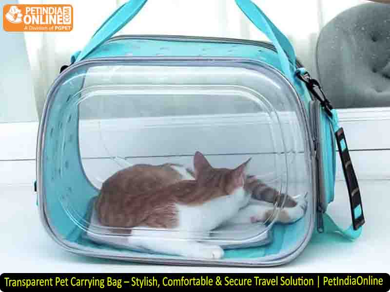 Transparent Pet Carrying Bag – Stylish, Comfortable & Secure Travel Solution | PetIndiaOnline