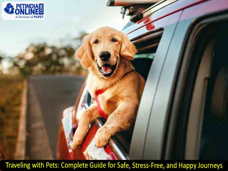 Traveling with Pets: Complete Guide for Safe, Stress-Free, and Happy Journeys