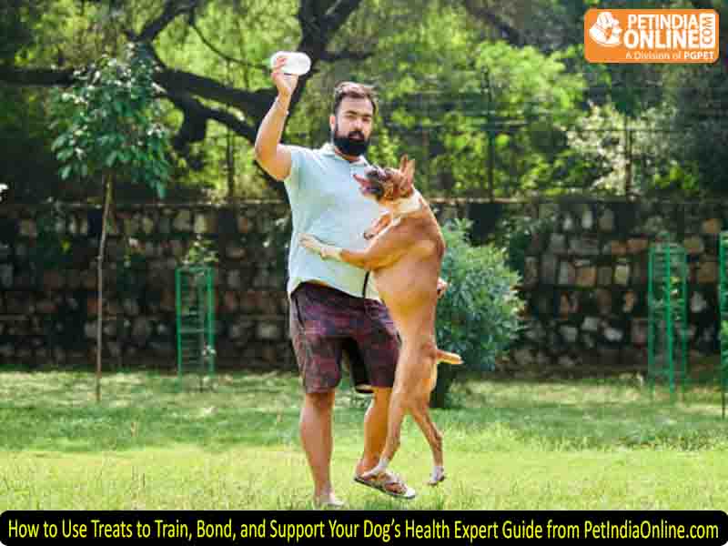 How to Use Treats to Train, Bond, and Support Your Dog’s Health Expert Guide from PetIndiaOnline.com