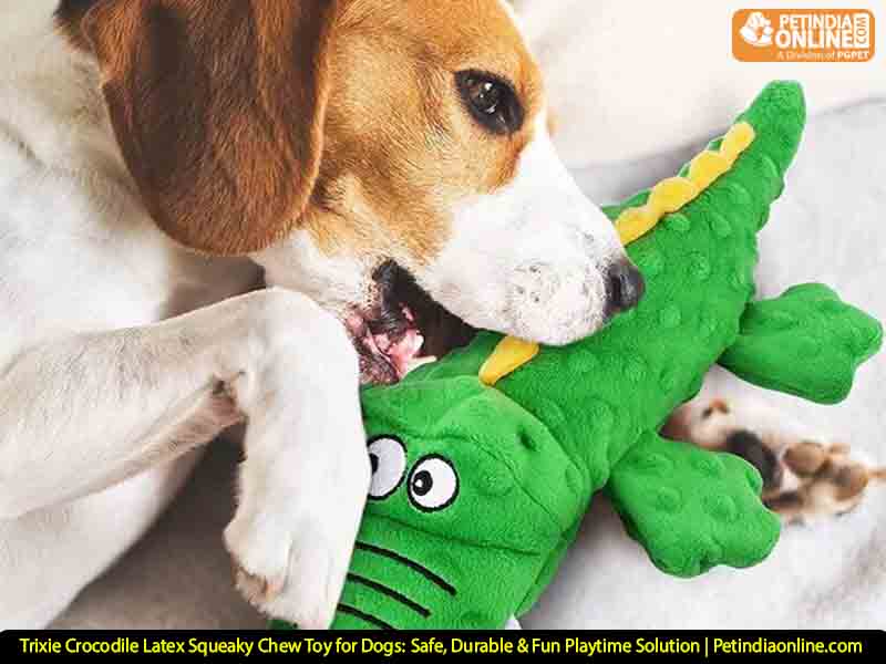 Trixie Crocodile Latex Squeaky Chew Toy for Dogs: Safe, Durable & Fun Playtime Solution | Petindiaonline.com