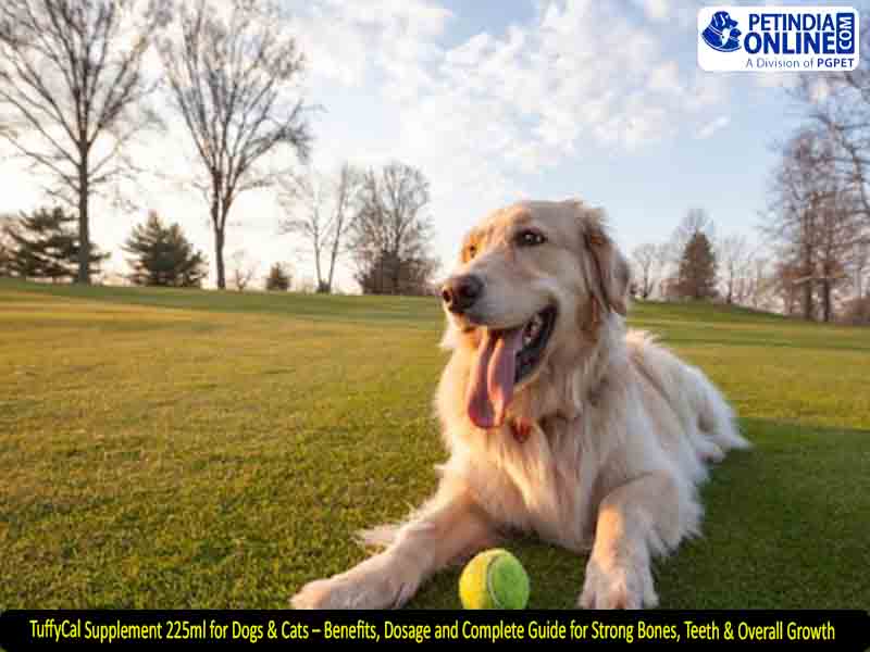 TuffyCal Supplement 225ml for Dogs & Cats – Benefits, Dosage and Complete Guide for Strong Bones, Teeth & Overall Growth