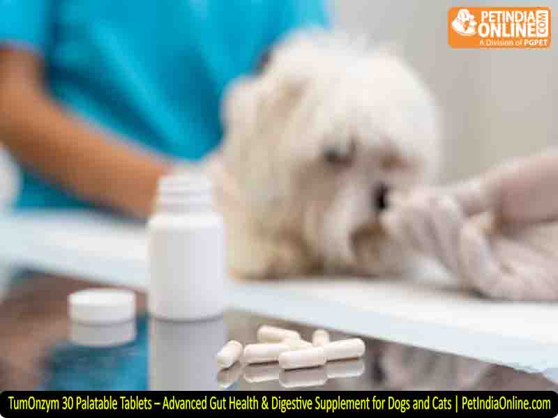 TumOnzym 30 Palatable Tablets – Advanced Gut Health & Digestive Supplement for Dogs and Cats | PetIndiaOnline.com