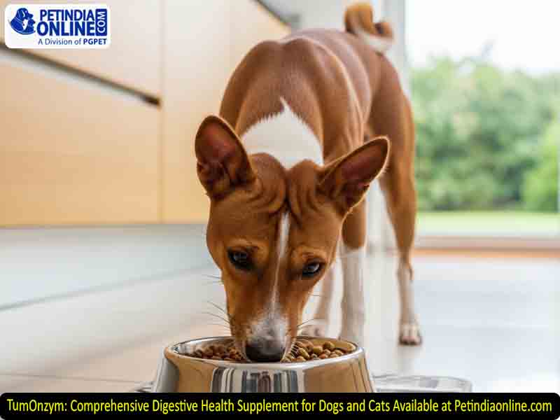 TumOnzym: Comprehensive Digestive Health Supplement for Dogs and Cats Available at Petindiaonline.com