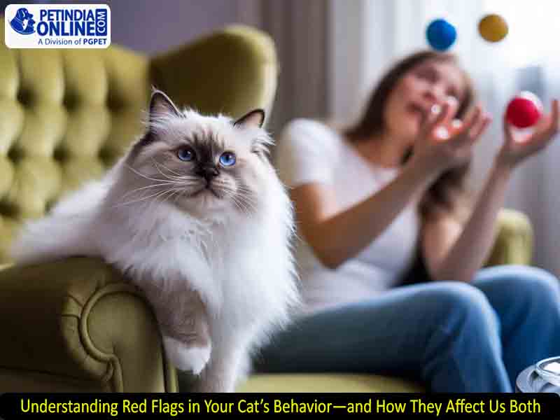 Understanding Red Flags in Your Cat’s Behavior—and How They Affect Us Both