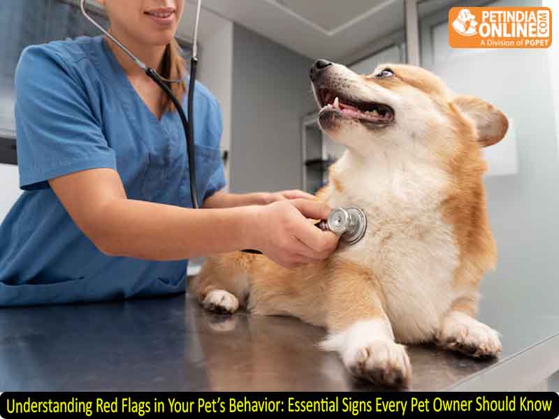 Understanding Red Flags in Your Pet’s Behavior: Essential Signs Every Pet Owner Should Know