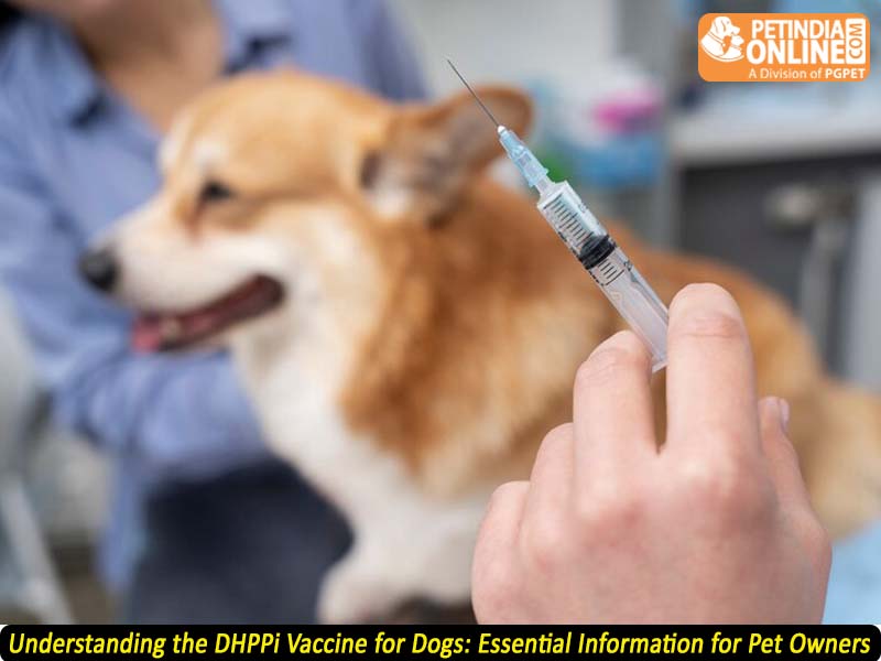 Understanding the DHPPi Vaccine for Dogs: Essential Information for Pet Owners