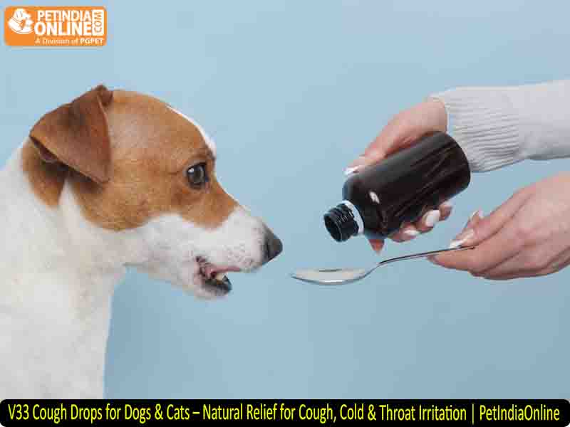 V33 Cough Drops for Dogs & Cats – Natural Relief for Cough, Cold & Throat Irritation | PetIndiaOnline