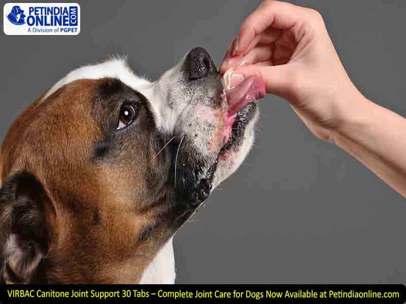 VIRBAC Canitone Joint Support 30 Tabs – Complete Joint Care for Dogs Now Available at Petindiaonline.com