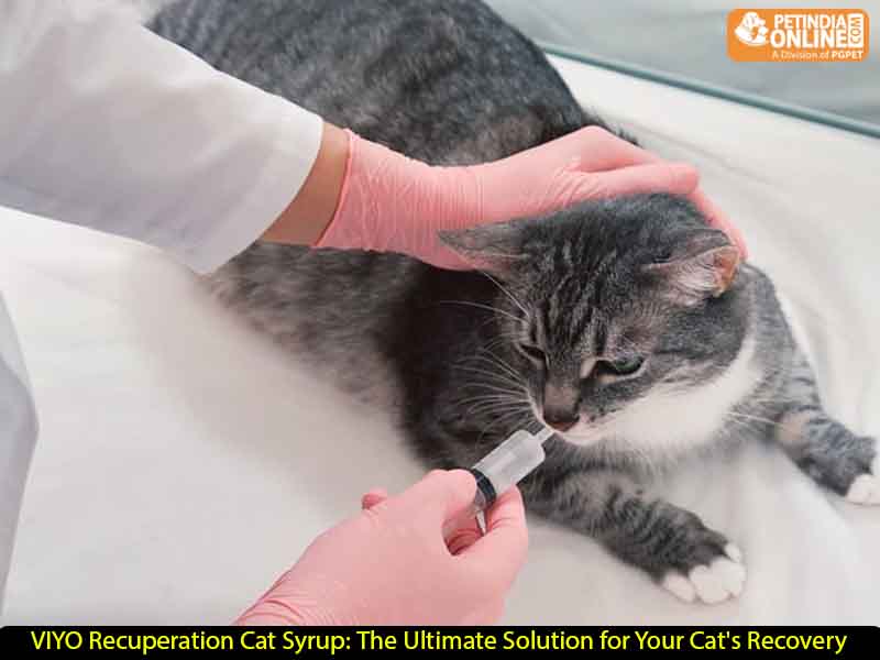 VIYO Recuperation Cat Syrup: The Ultimate Solution for Your Cat's Recovery