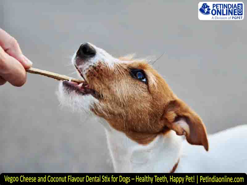 Vegoo Cheese and Coconut Flavour Dental Stix for Dogs – Healthy Teeth, Happy Pet! | PetIndiaonline.com