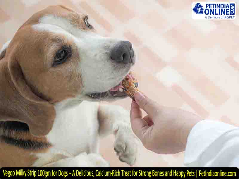 Vegoo Milky Strip 100gm for Dogs – A Delicious, Calcium-Rich Treat for Strong Bones and Happy Pets | PetIndiaonline.com
