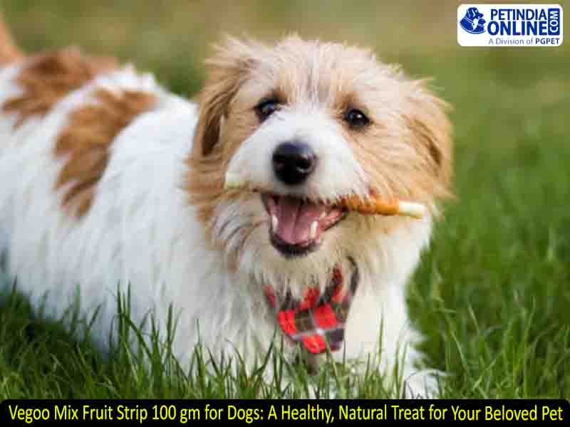 Vegoo Mix Fruit Strip 100 gm for Dogs: A Healthy, Natural Treat for Your Beloved Pet