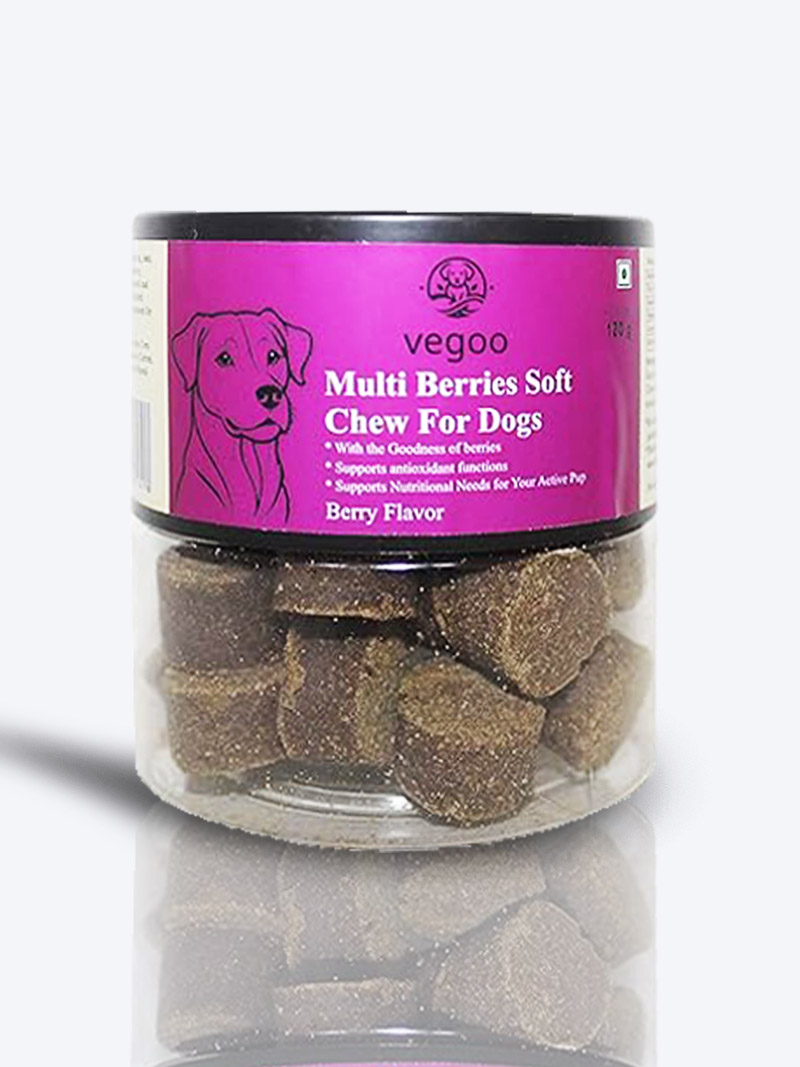 Vegoo Multi Berries Soft Chew 120gm for Dogs | Nutritious Treat – Petindiaonline.com