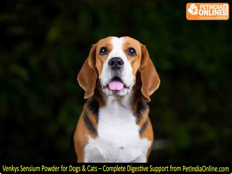Venkys Sensium Powder for Dogs & Cats – Complete Digestive Support from PetIndiaOnline.com