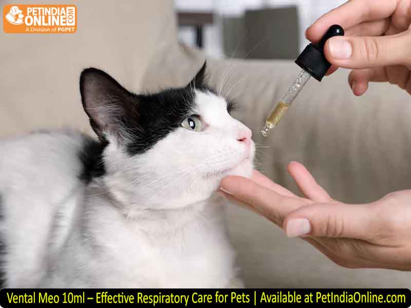 Vental Meo 10ml – Effective Respiratory Care for Pets | Available at PetIndiaOnline.com