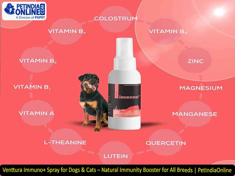 Venttura Immuno+ Spray for Dogs & Cats – Natural Immunity Booster for All Breeds | PetIndiaOnline