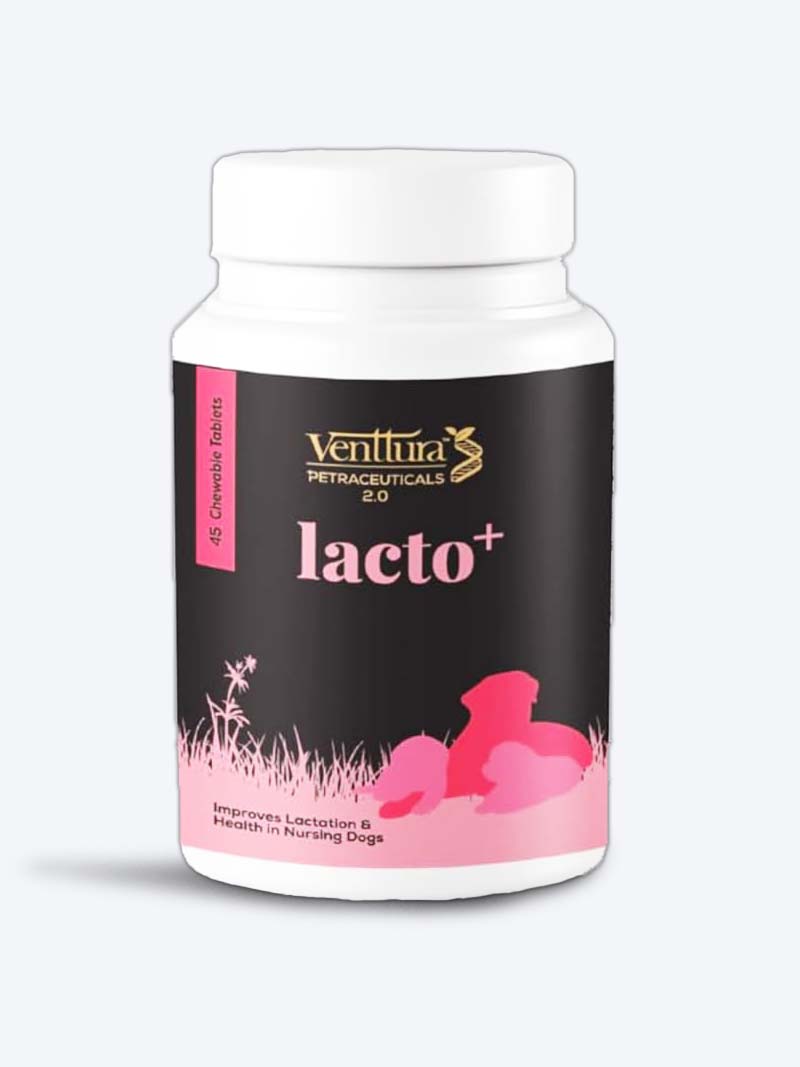 Buy Venttura Lacto+ 60 Tablets for Dogs & Cats | Petindiaonline.com