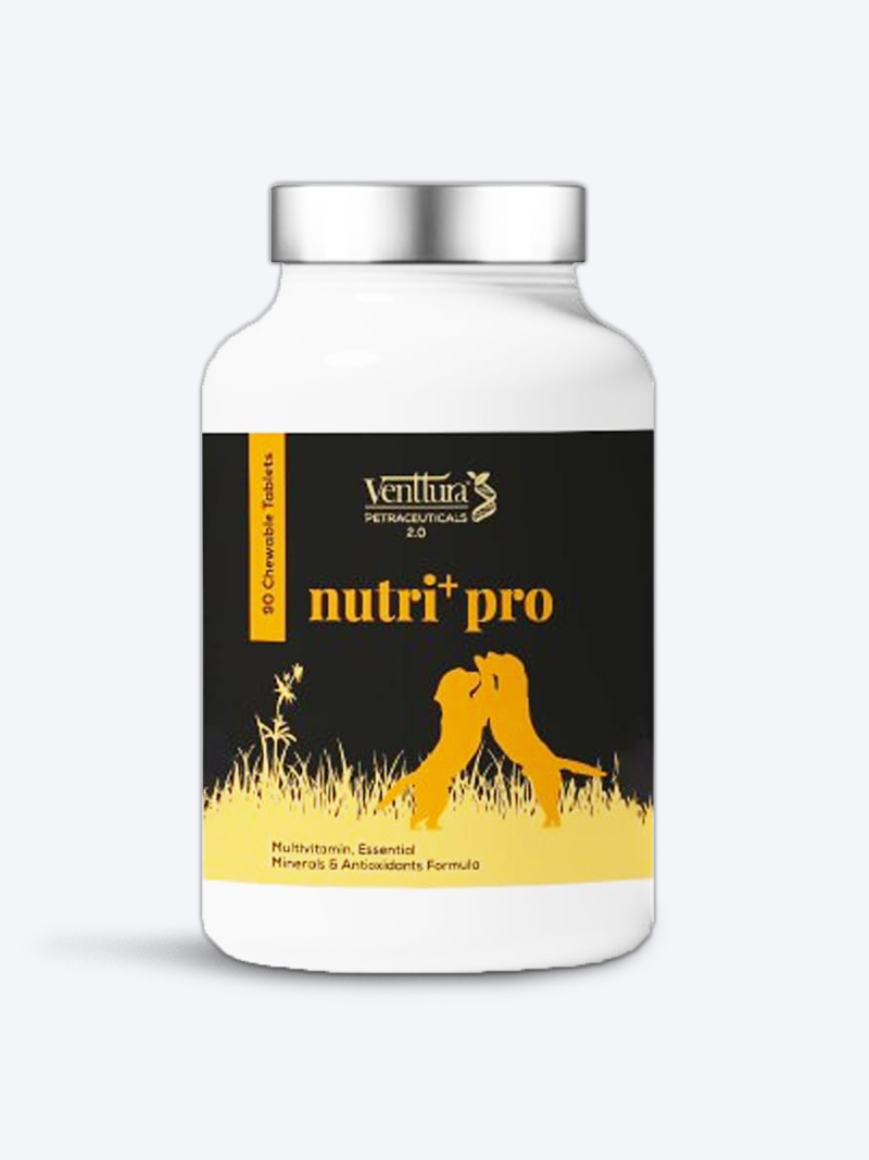 Venttura Nutri+Pro 60 Tablets – Nutritional Supplement for Pets | Petindiaonline.com