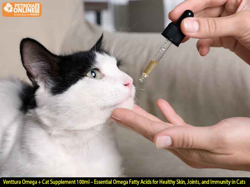 Venttura Omega + Cat Supplement 100ml – Essential Omega Fatty Acids for Healthy Skin, Joints, and Immunity in Cats