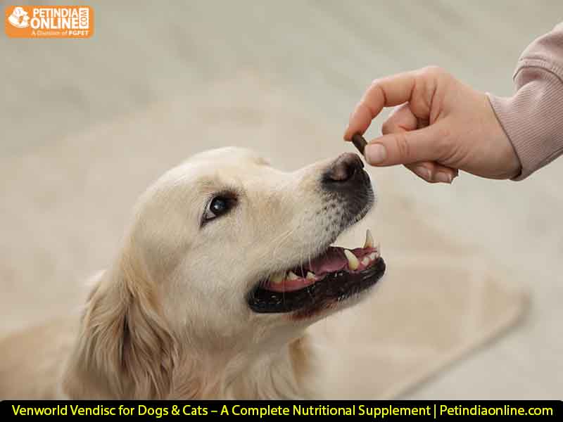 Venworld Vendisc for Dogs & Cats – A Complete Nutritional Supplement | Petindiaonline.com