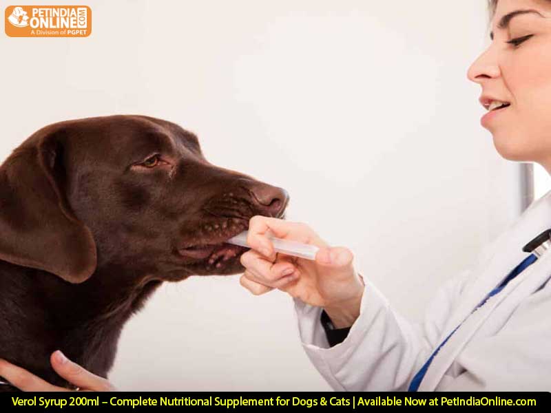Verol Syrup 200ml – Complete Nutritional Supplement for Dogs & Cats | Available Now at PetIndiaOnline.com