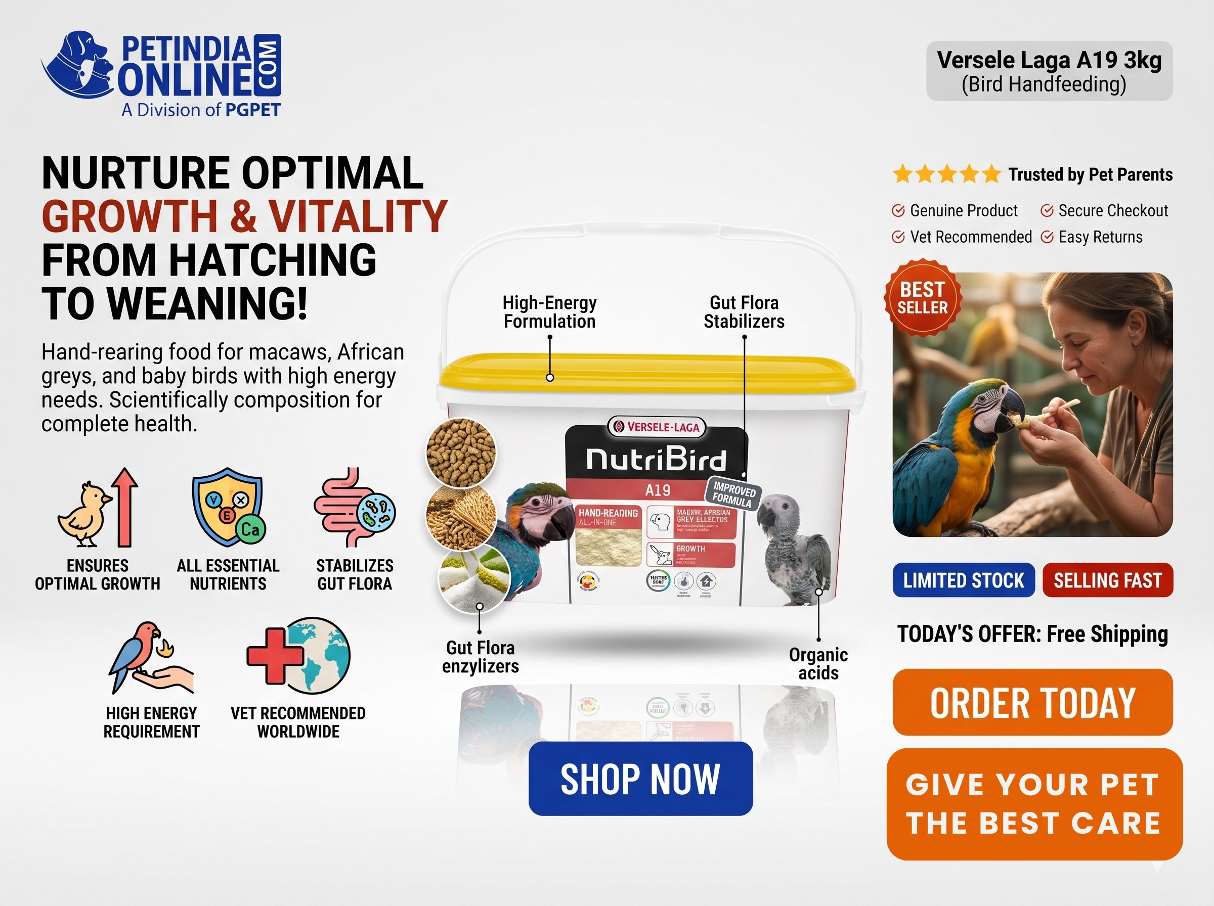 Versele Laga A19 3kg Bird Hand Feeding Formula – Premium Nutrition for Healthy Baby Bird Growth