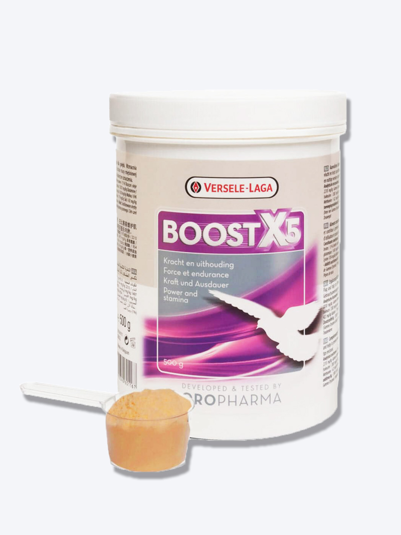 Versele Laga Oropharma Boost X5 500g | Performance Supplement for Birds | Petindiaonline.com