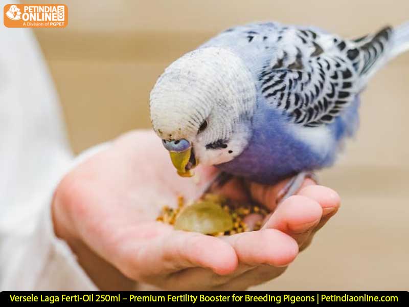Versele Laga Ferti-Oil 250ml – Premium Fertility Booster for Breeding Pigeons | Petindiaonline.com