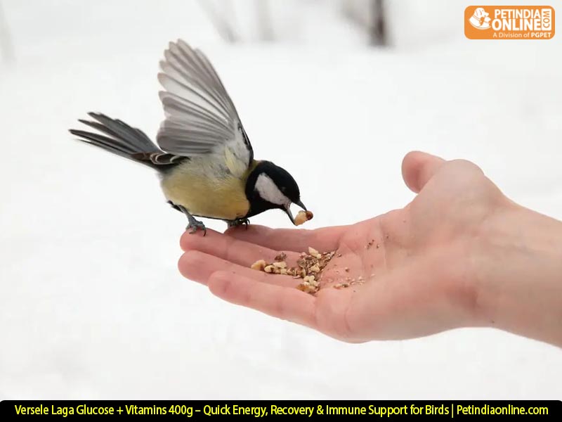 Versele Laga Glucose + Vitamins 400g – Quick Energy, Recovery & Immune Support for Birds | Petindiaonline.com