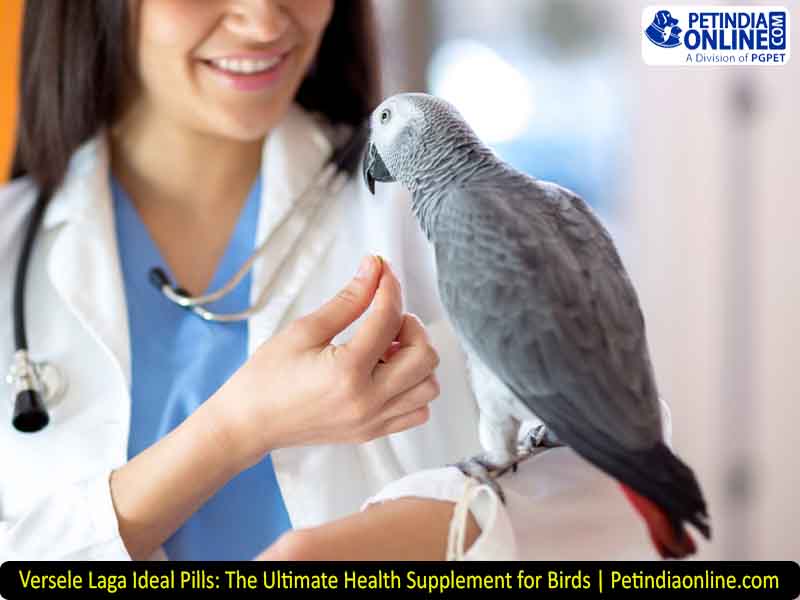 Versele Laga Ideal Pills: The Ultimate Health Supplement for Birds | Petindiaonline.com