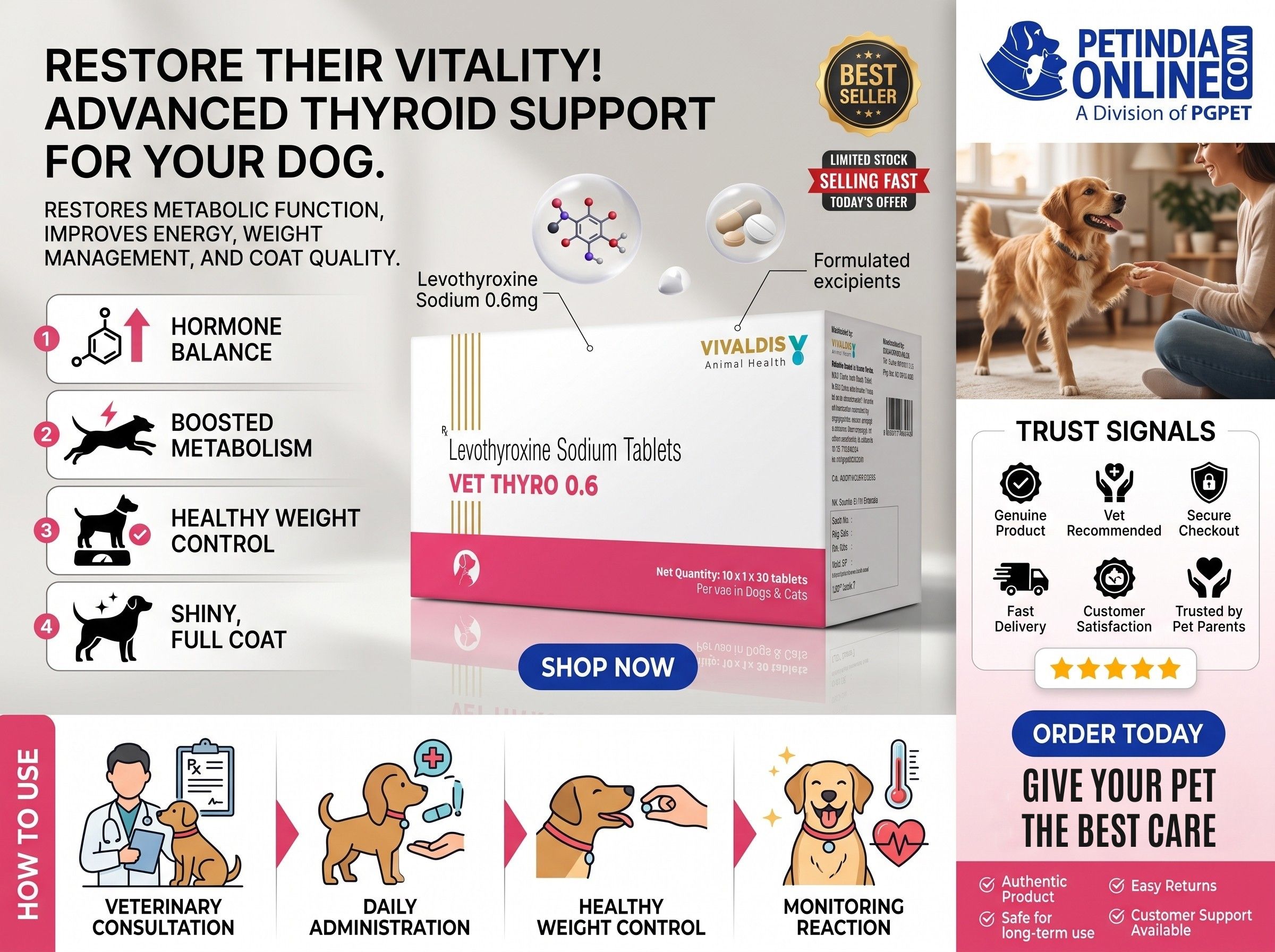 Vet Thyro 0.2mg 30 Tablets for Dogs | Vivaldis Thyroid Support