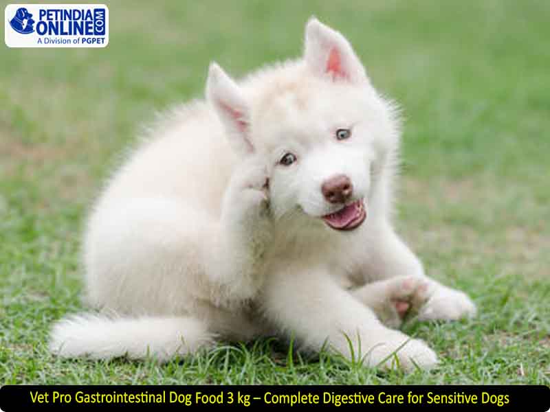 Vet Pro Gastrointestinal Dog Food 3 kg – Complete Digestive Care for Sensitive Dogs