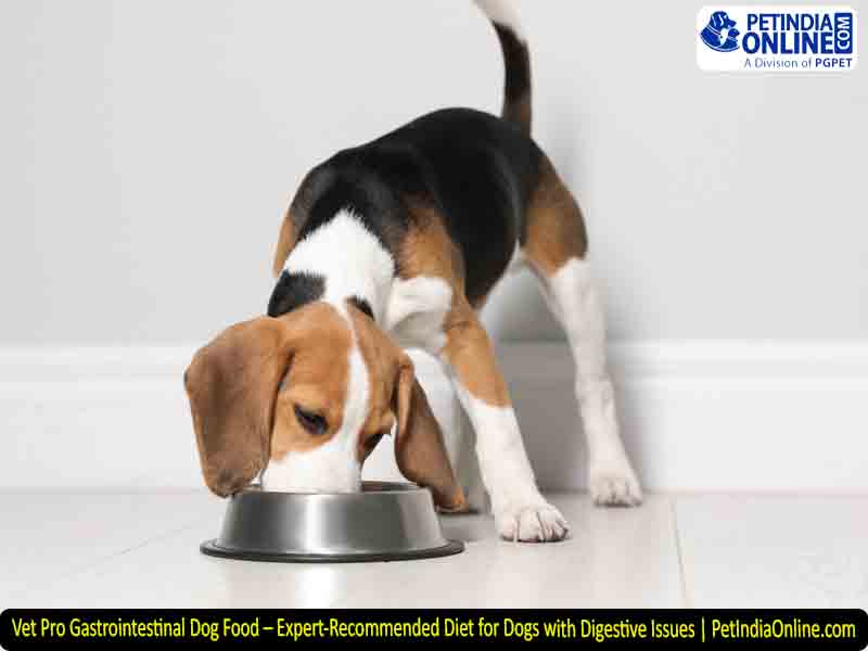 Vet Pro Gastrointestinal Dog Food – Expert-Recommended Diet for Dogs with Digestive Issues | PetIndiaOnline.com