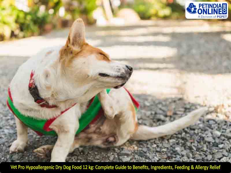 Vet Pro Hypoallergenic Dry Dog Food 12 kg: Complete Guide to Benefits, Ingredients, Feeding & Allergy Relief