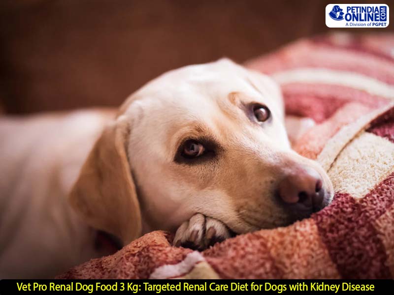 Vet Pro Renal Dog Food 3 Kg: Targeted Renal Care Diet for Dogs with Kidney Disease