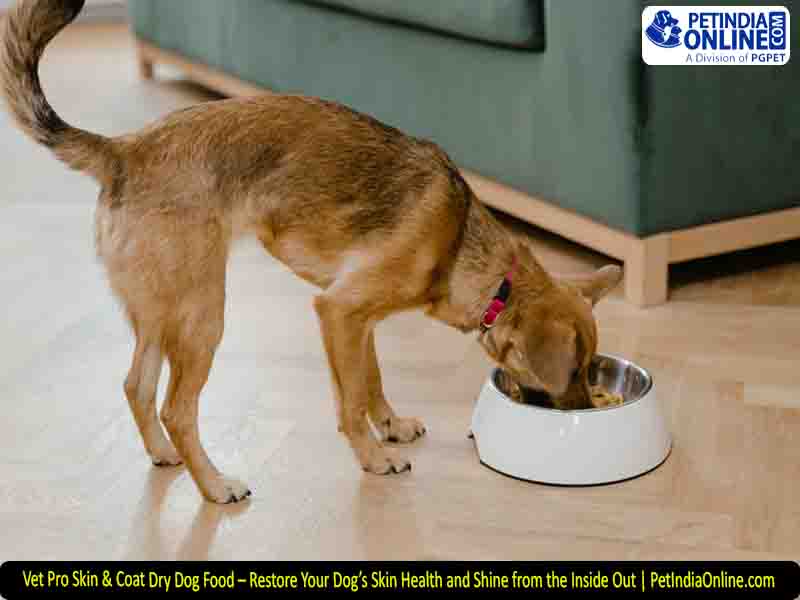 Vet Pro Skin & Coat Dry Dog Food – Restore Your Dog’s Skin Health and Shine from the Inside Out | PetIndiaOnline.com