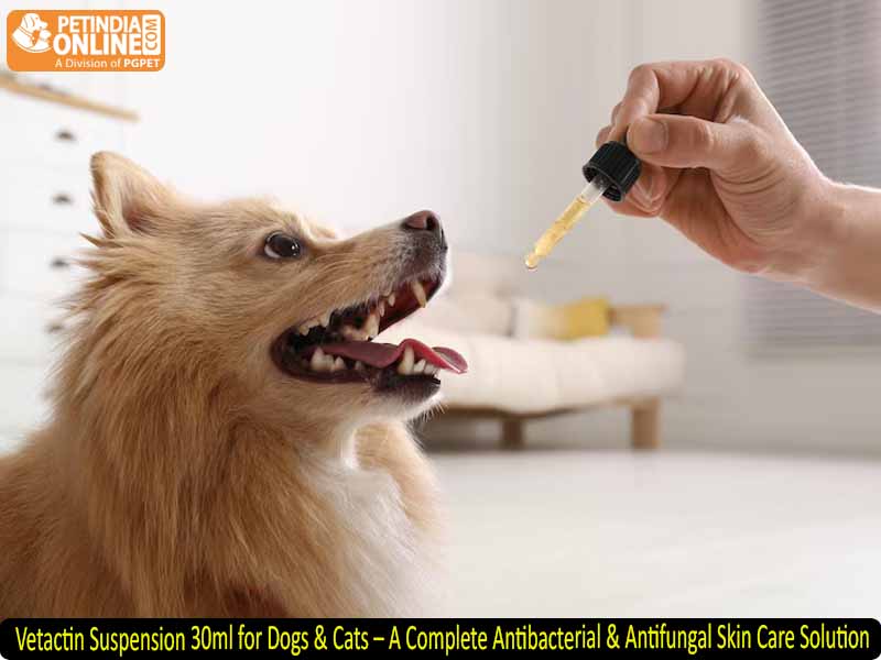 Vetactin Suspension 30ml for Dogs & Cats – A Complete Antibacterial & Antifungal Skin Care Solution