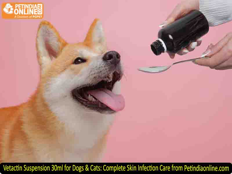 Vetactin Suspension 30ml for Dogs & Cats: Complete Skin Infection Care from Petindiaonline.com