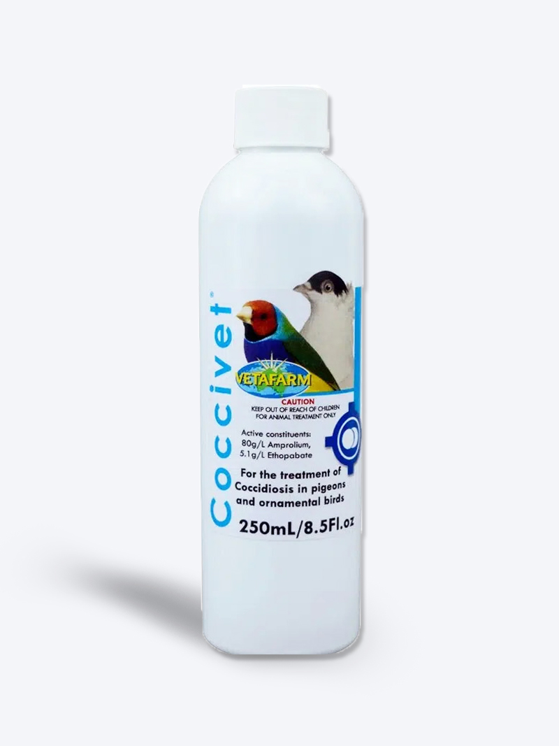 Buy Vetafarm Coccivet | Coccidiosis Treatment for Birds | Petindiaonline.com