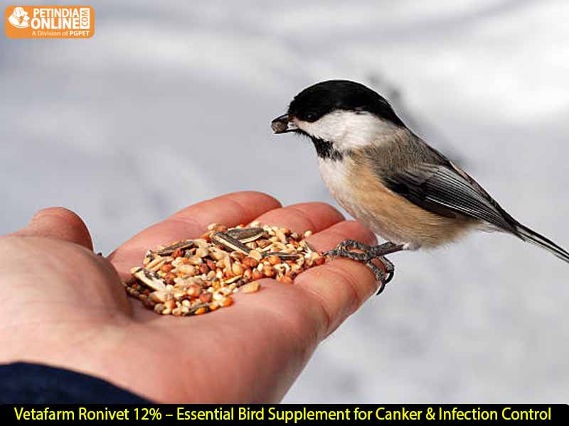 Vetafarm Ronivet 12% – Essential Bird Supplement for Canker & Infection Control