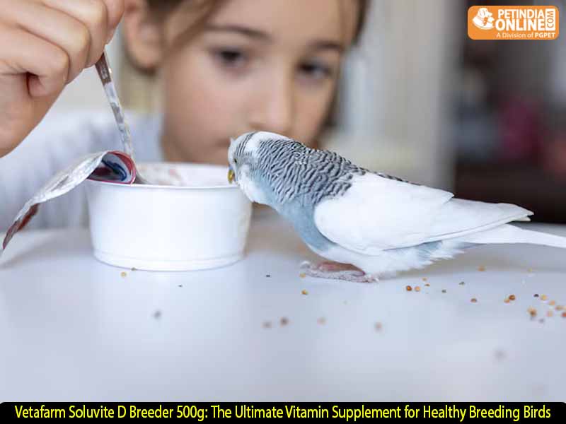 Vetafarm Soluvite D Breeder 500g: The Ultimate Vitamin Supplement for Healthy Breeding Birds